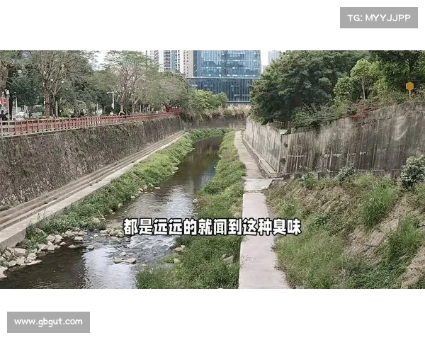 看不见的污染,街巷污水治理为何陷入荒唐困境?(城市污水乱排找谁投诉) 看不见的污染,街巷污水治理为何陷入荒唐困境?(城市污水乱排找谁投诉)